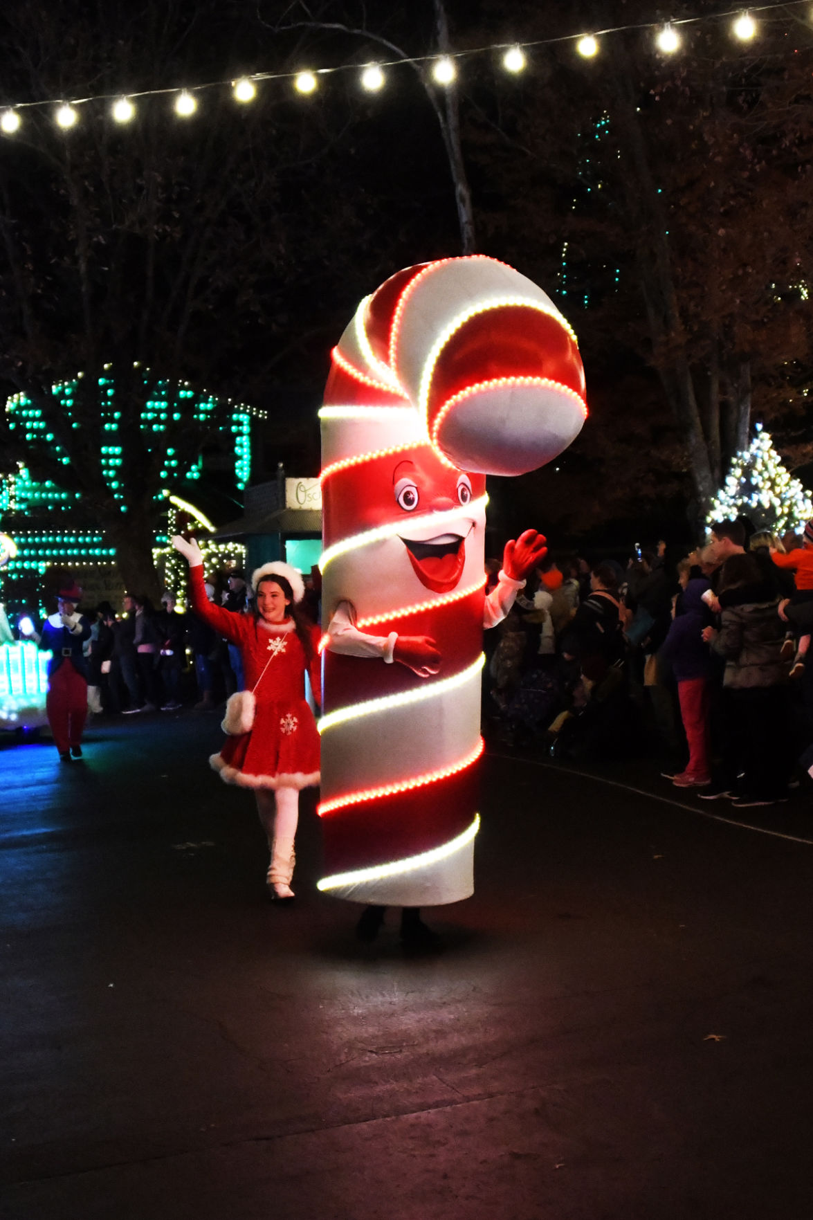 161 The characters in the Light Parade were cute and fun.jpg